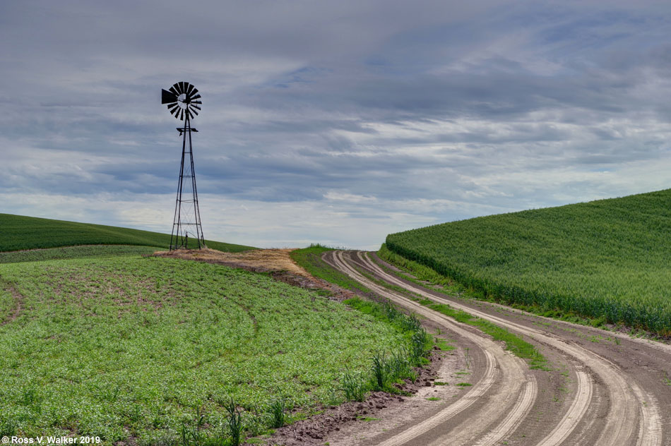 Windmill and Tibbett Road, Palouse region, Washington