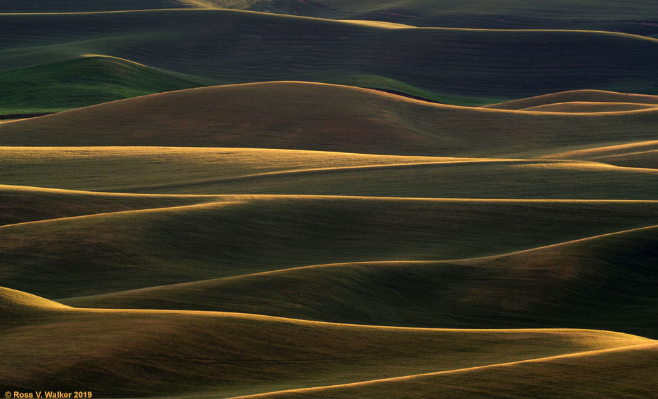 Evening light touches the tops of hills below Steptoe Butte, Washington