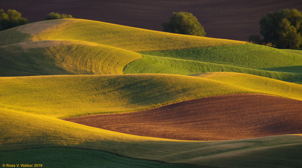 Last light on rolling farmland, Steptoe Butte State Park, Washington