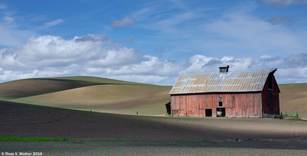 Rustic barn and rolling hills near Colton, Washington