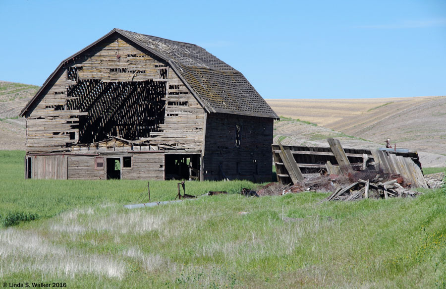 A badly damaged barn at an abandoned farm near St John, Washington