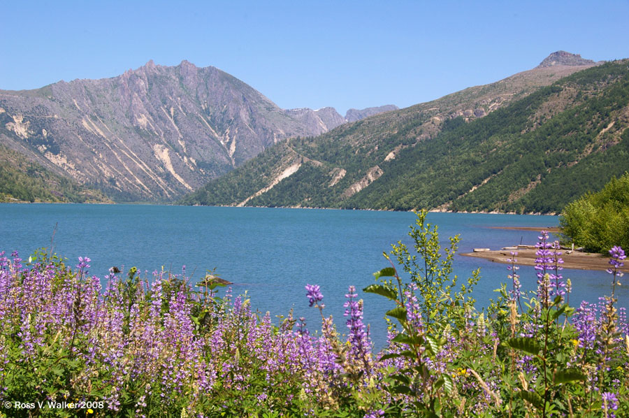 Coldwater Lake, Mount St. Helens National Volcanic Monument, Washington