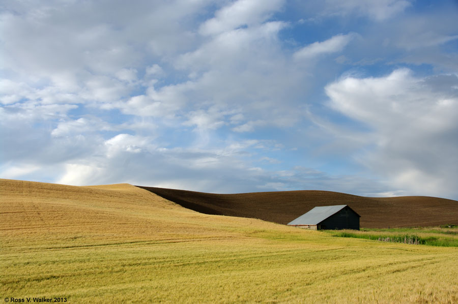 Palouse farmland near Steptoe, Washington