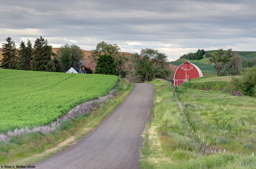Rimrock Road passes through a farm with an arched roof barn near Colton, WA