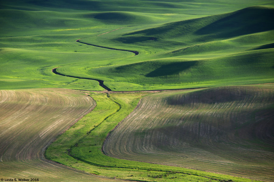 An irrigation ditch follows the base of the hills below Steptoe Butte, Washington