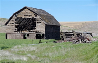 Damaged barn, Palouse