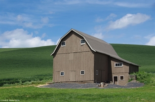 Brown barn, Washington