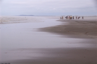 Ocean Shores