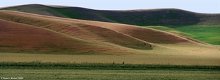 Steptoe hills