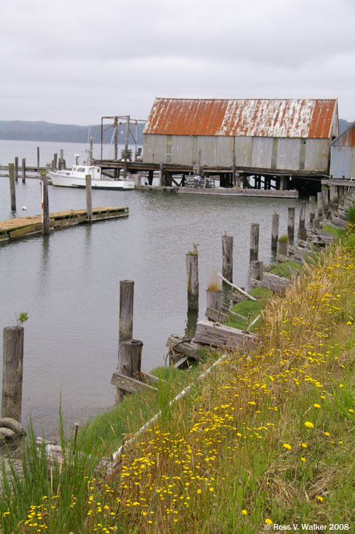 Fishing boat and pier, Tokeland, Washington