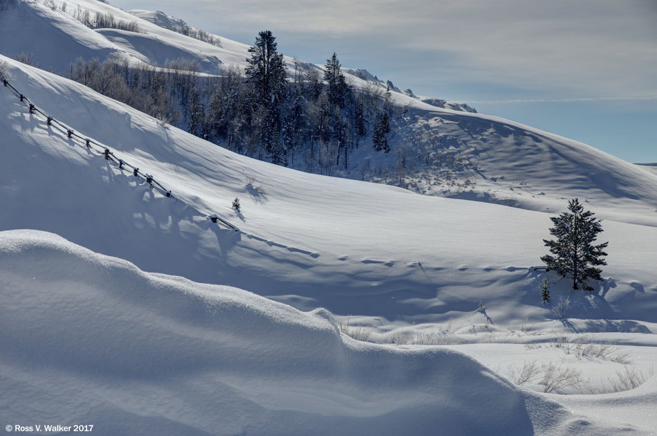 Drifts nearly cover a fence in Salt Creek Canyon, Wyoming