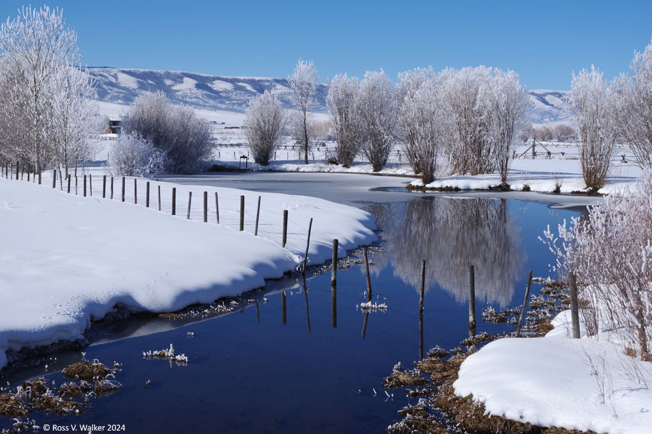 A Star Valley Pond in Afton, Wyoming on a cold winter day