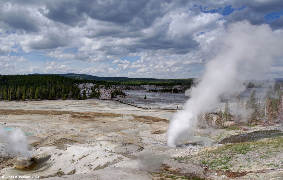 Black Growler steam vent, Norris Geyser Basin, Yellowstone National Park, Wyoming