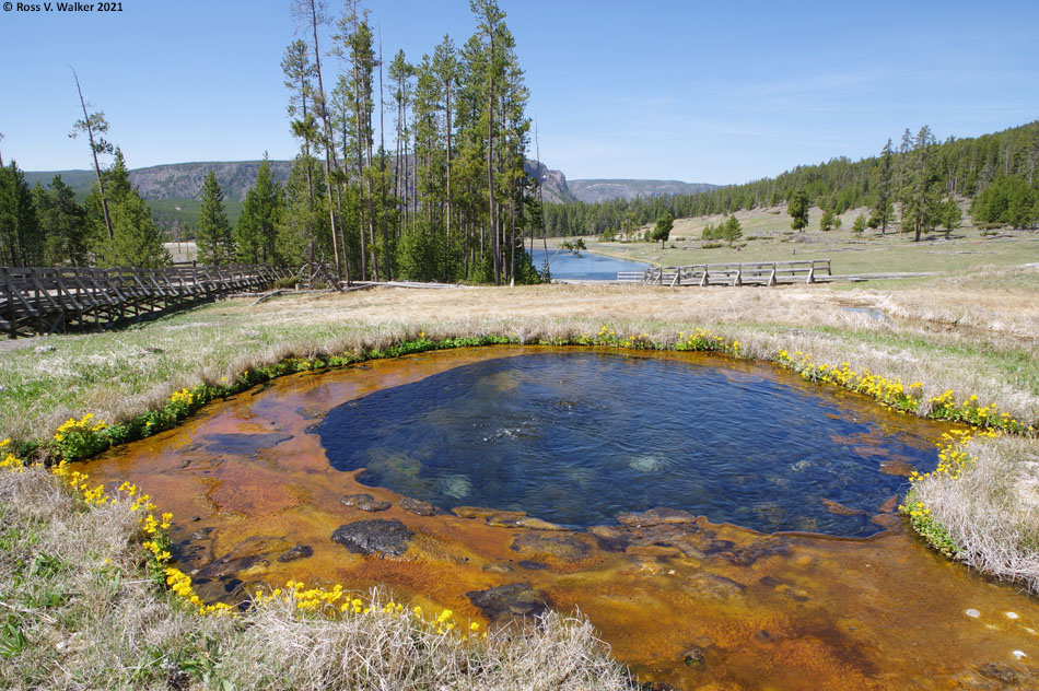 Upper Terrace Spring, Yellowstone National Park, Wyoming