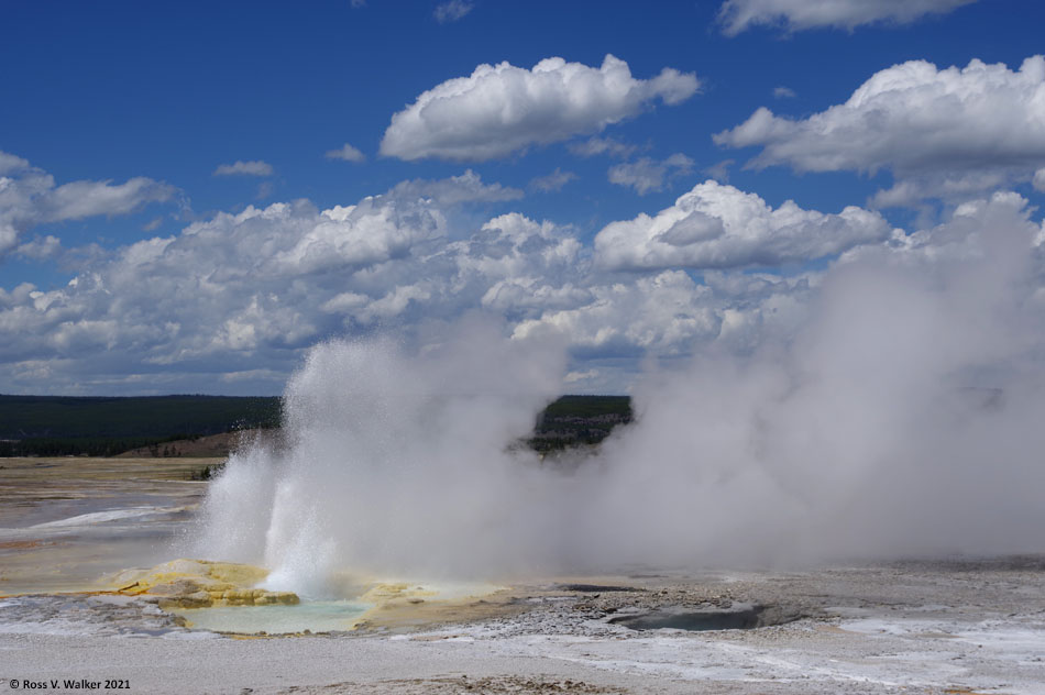 Clepsydra Geyser, Yellowstone National Park, Wyoming