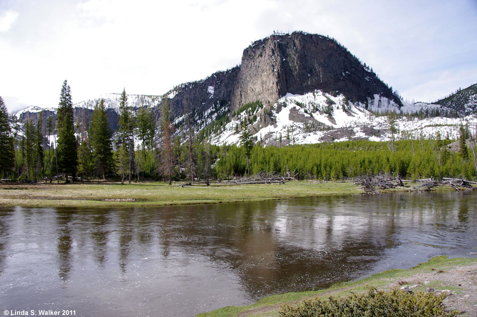Mt. Haynes and the Madison River, Yellowstone National Park, Wyoming