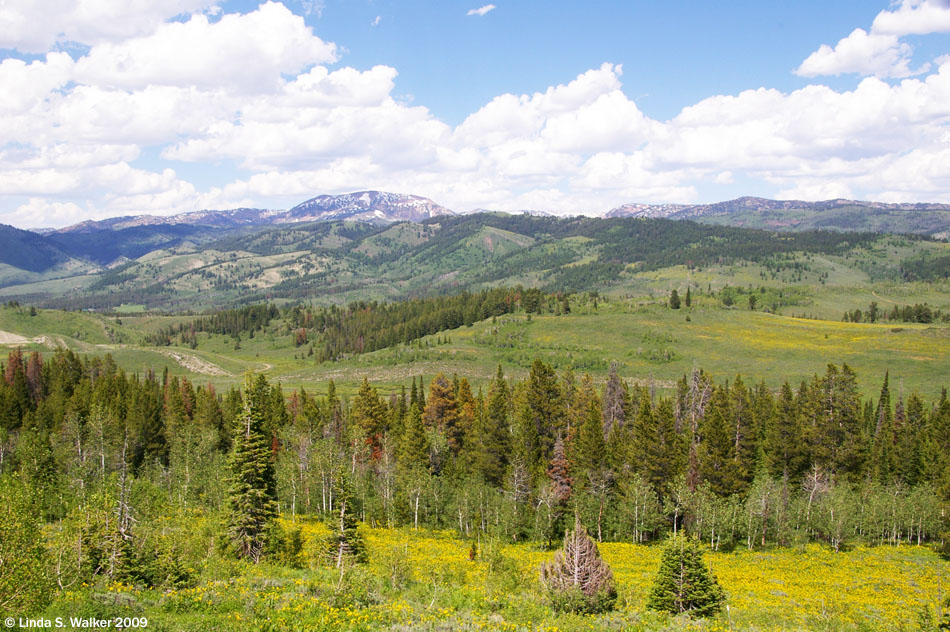 Salt River Summit, Wyoming spring and fall photos