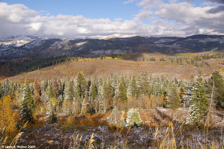 Salt River Summit, Wyoming spring and fall photos