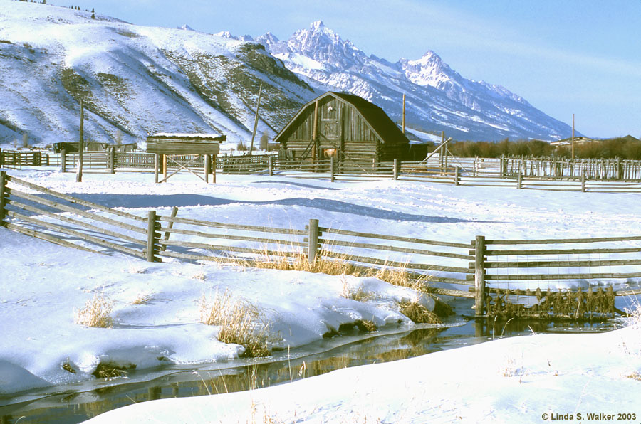 Barn and Grand Tetons, Jackson Hole, Wyoming