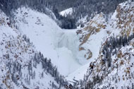 Yellowstone in Winter