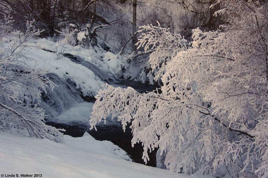 Winter frost at Pine Creek near Cokeville, Wyoming