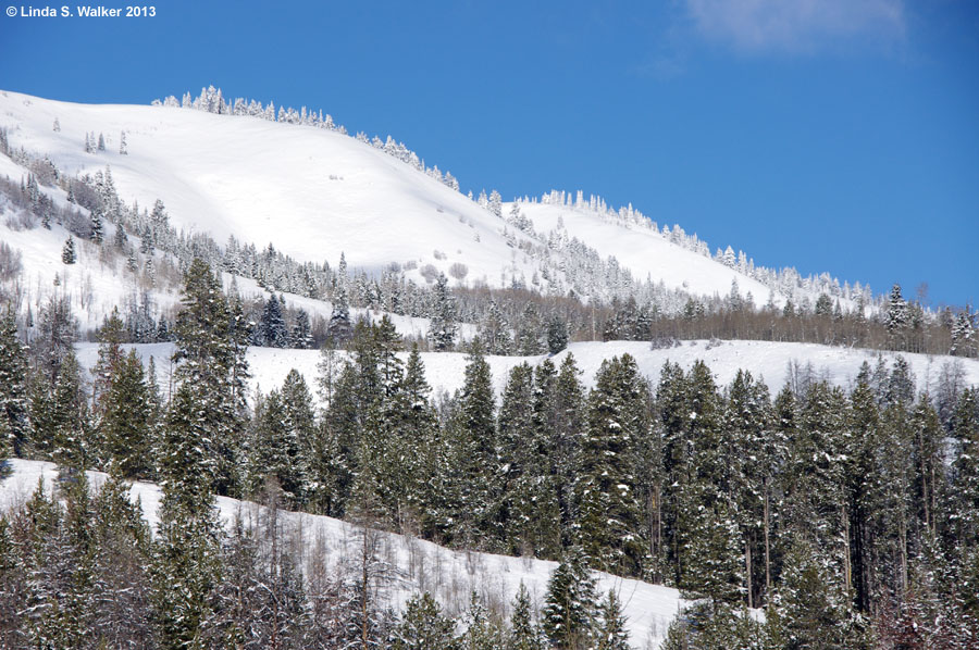 Snowy hills are part of the west rim of Salt Creek Canyon, Wyoming