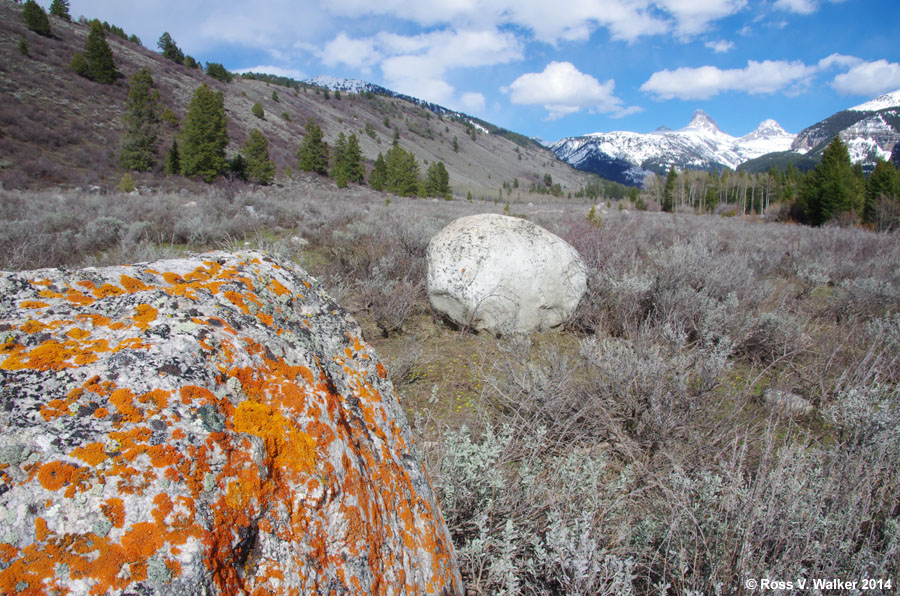 A lichen covered boulder and the Grand Tetons, near Alta, Wyoming