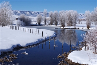 Afton Pond