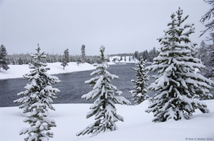 Madison River