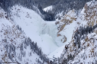 Lower Falls, Yellowstone