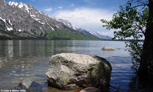 Jenny Lake