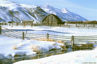 Jackson Hole barn