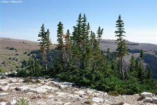 Medicine Mountain, Wyoming