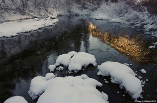 Pine Creek Reflection