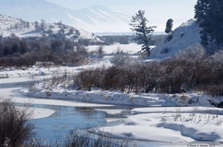 Salt River Winter