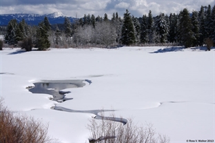 Winter Stream, Grand Tetons