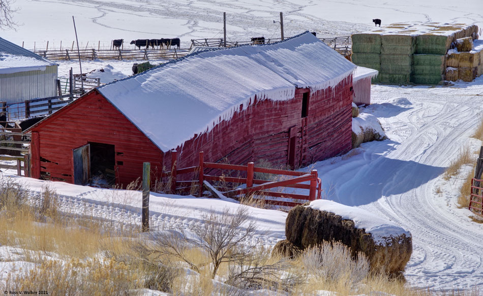 A rustic bank barn and hay bales in Dingle, Idaho