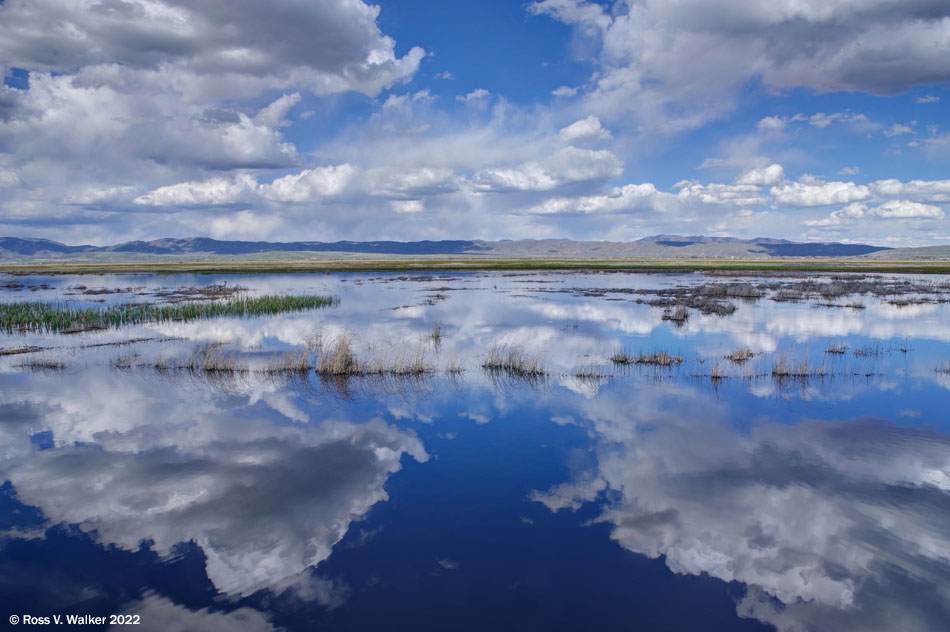 Cloud reflections in ponds at Bear Lake National Wildlife Refuge
