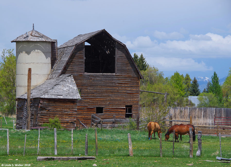 Gambrel roof barn and silo, St Charles, Idaho