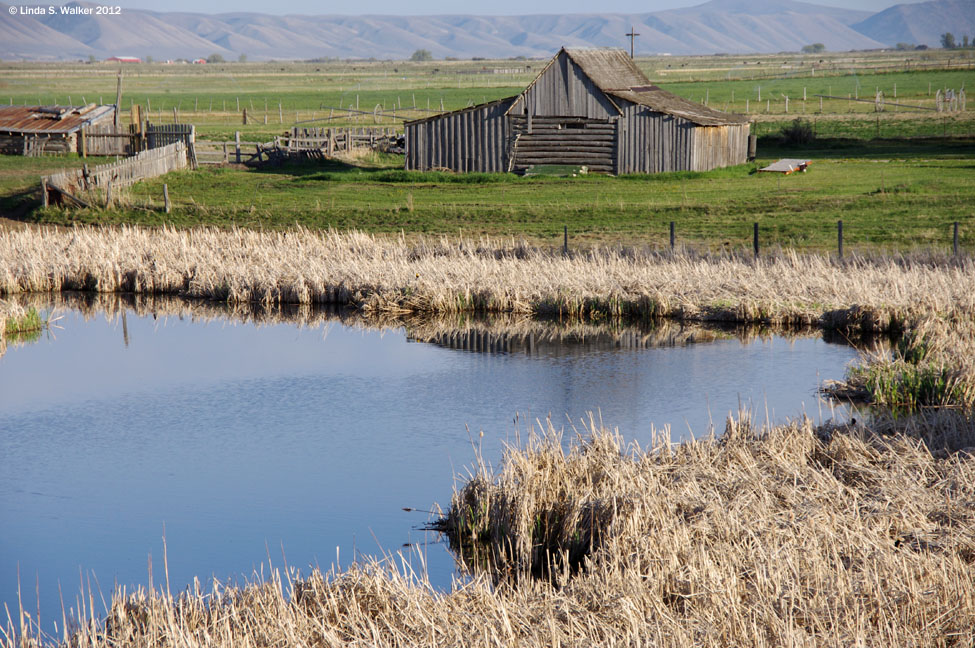 Old log barn in Ovid, Idaho