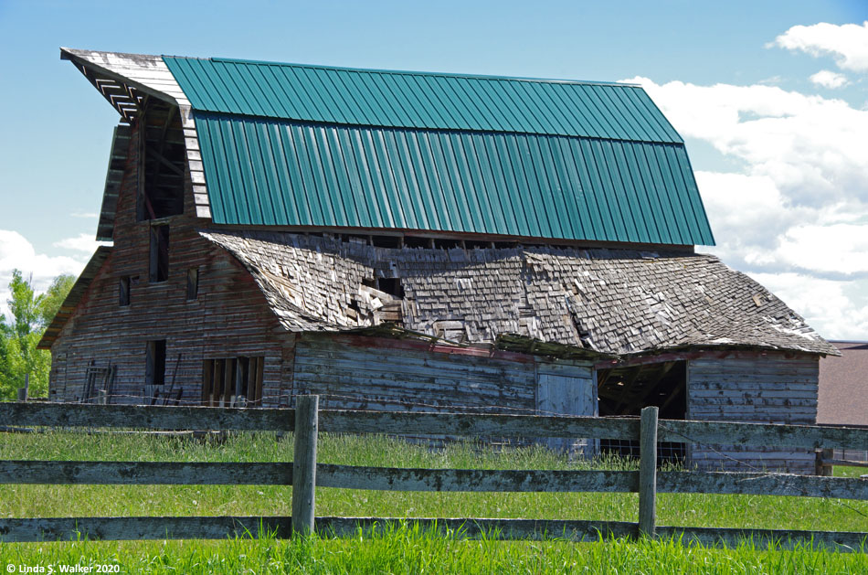 A big gambrel roof barn with a collapsing shed in Bennington, Idaho