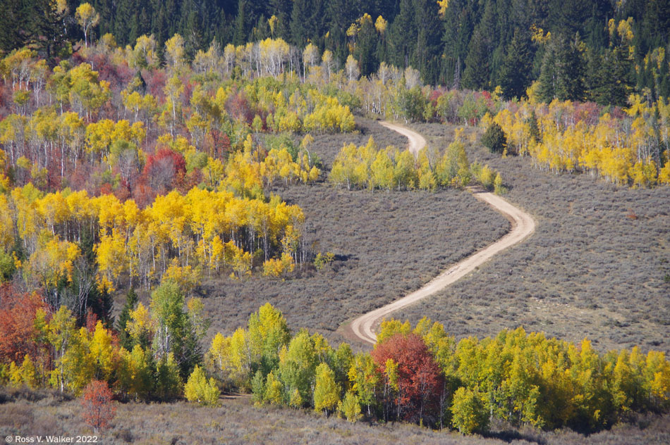 A dirt road passes through First Hollow, near Paris Canyon, Idaho