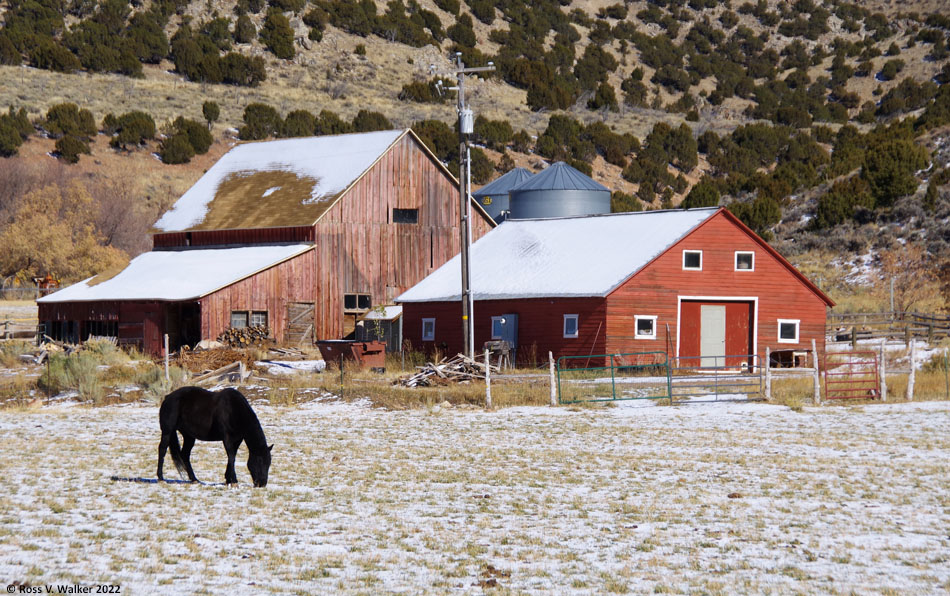 Two barns at South Eden Ranch, Bear Lake Valley, Utah