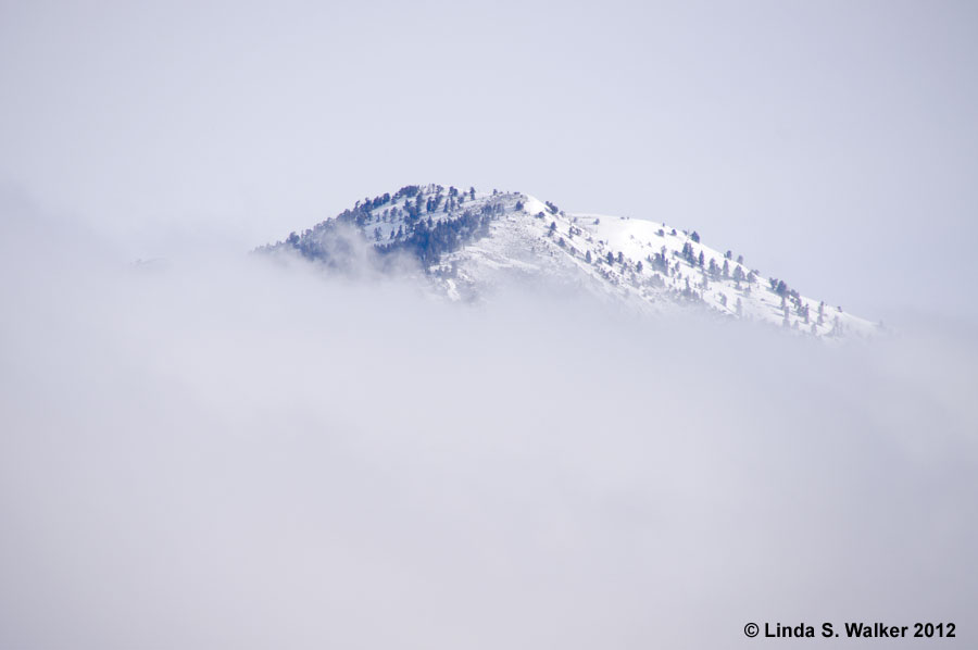 Old Baldy mountain appears above the valley clouds, Montpelier, Idaho