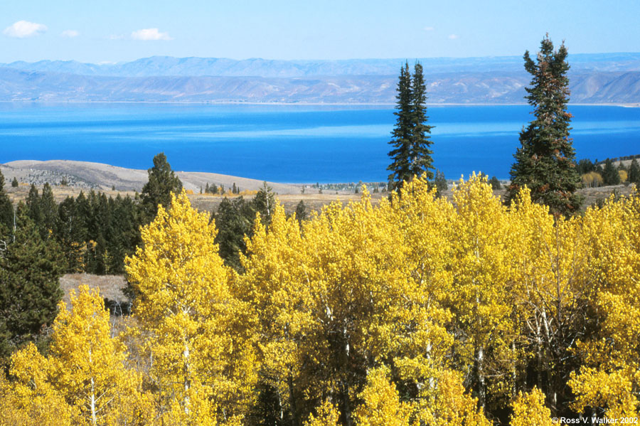 Bear Lake from the overlook at the west end of Logan Canyon, Utah