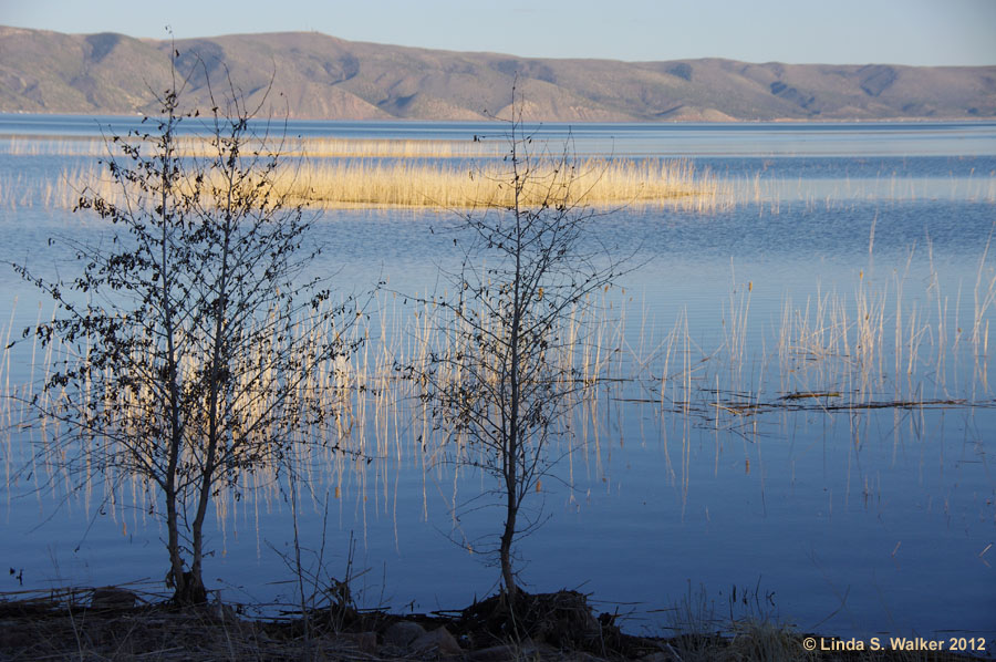 Bear Lake shoreline near Garden City Marina, Utah