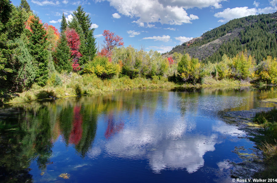 Blue Pond Spring, St Charles Canyon, Idaho