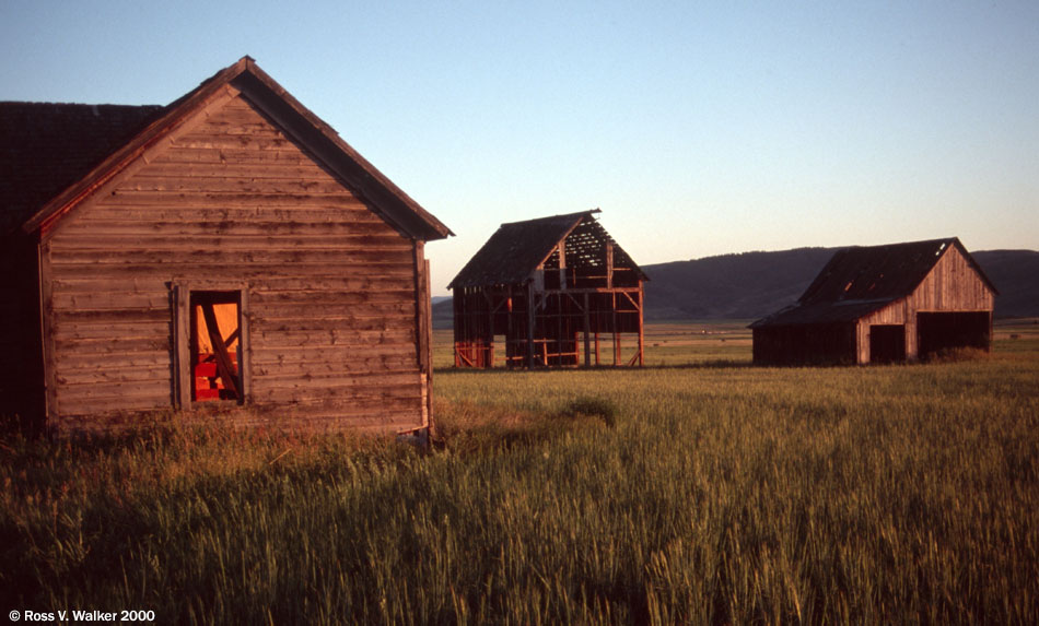 Abandoned farm buildings near Bennington, Idaho