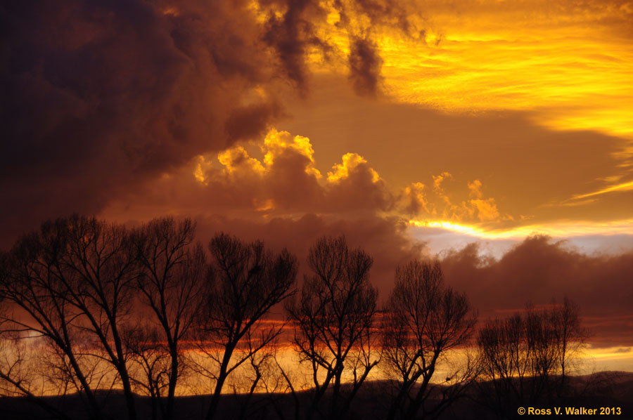 Sunset and Cottonwoods, Montpelier, Idaho