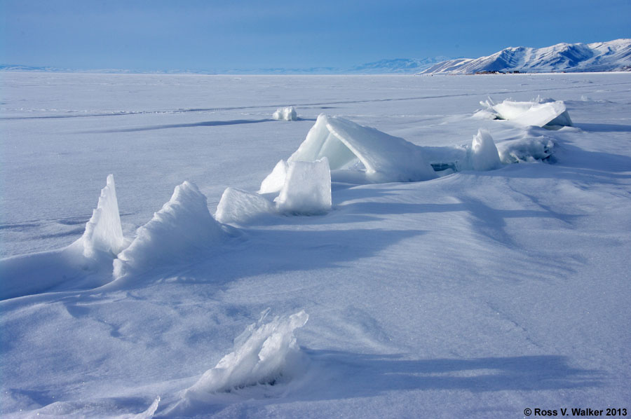 Snow drifts across blades of ice near the shore at Cisco Beach, Bear Lake, Utah.